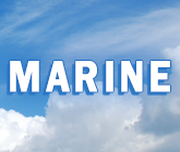 Marine Wind Turbines