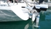 ePropulsion Spirit 1.0 Plus Powering Sailboat